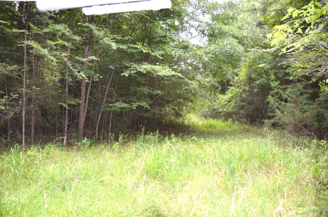 6-acres Putman Road Buffalo, SC 29321 - Photo 16 of 17 Gallery Image 16