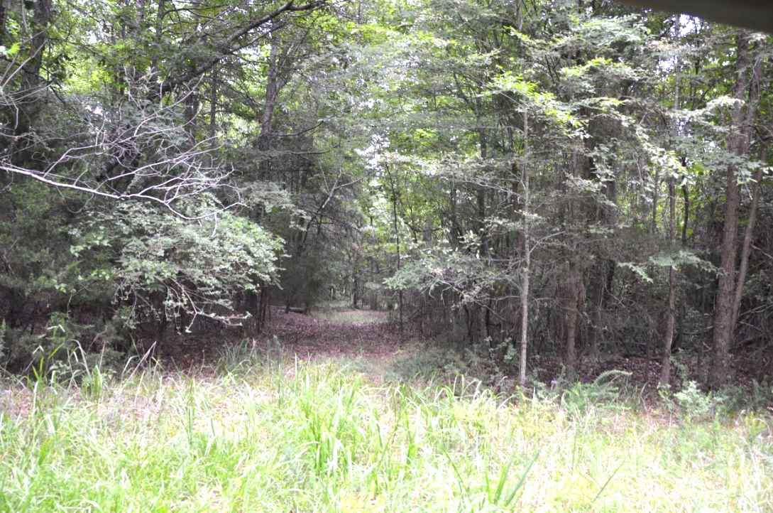 6-acres Putman Road Buffalo, SC 29321 - Photo 3 of 17 Gallery Image 3