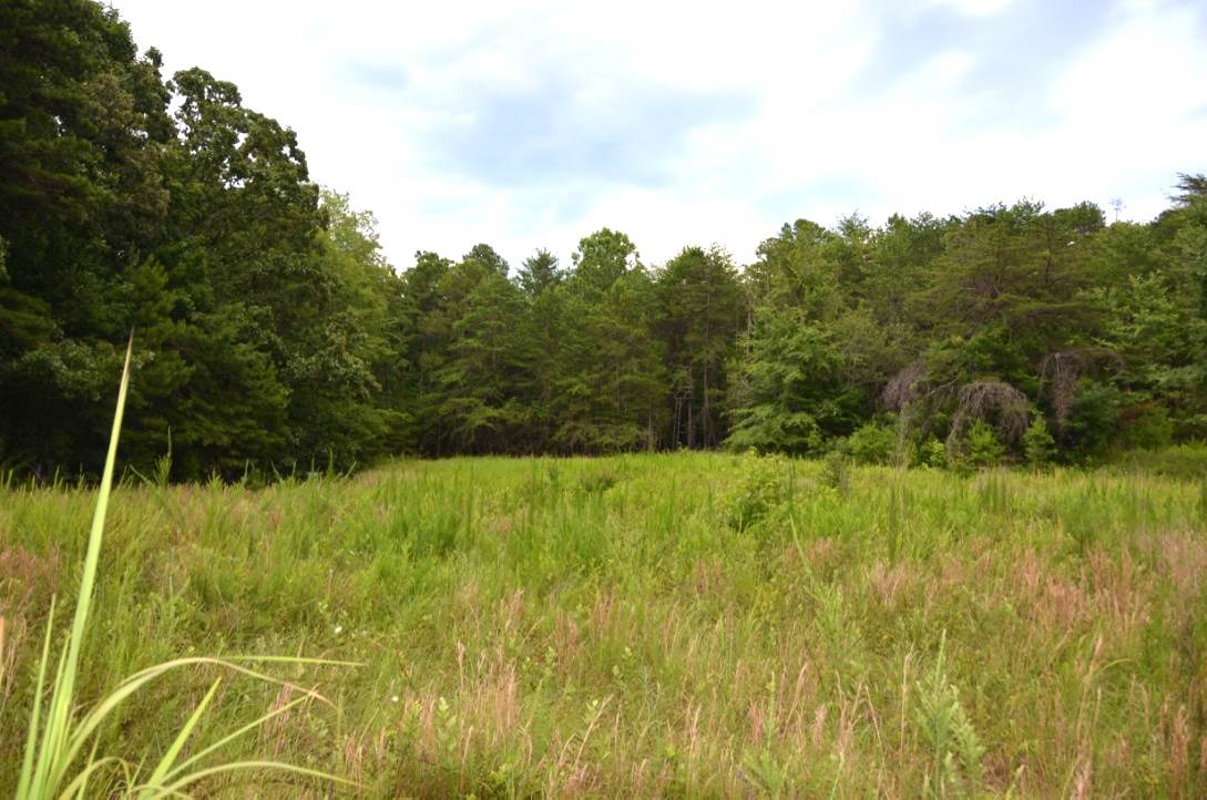 6-acres Putman Road Buffalo, SC 29321 - Photo 6 of 17 Gallery Image 6