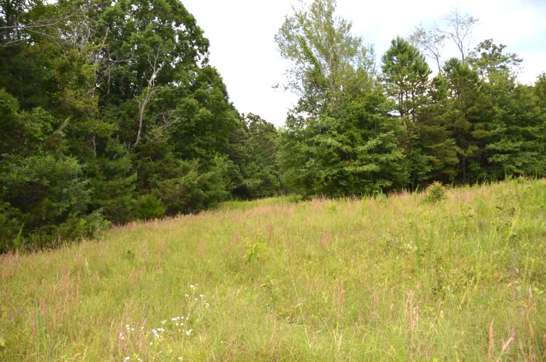 6-acres Putman Road Buffalo, SC 29321 - Photo 9 of 17 Gallery Image 9