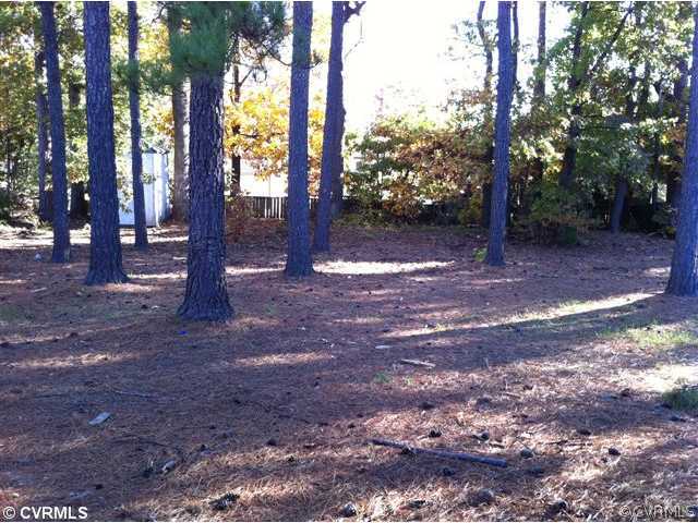 6431 Philbrook Road Richmond, VA 23234 - Photo 4 of 9 Yard/Garden - Back Yard