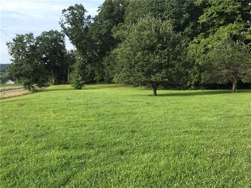 170 Schaller Road Transfer, PA 16154 - Photo 5 of 22 Back yard