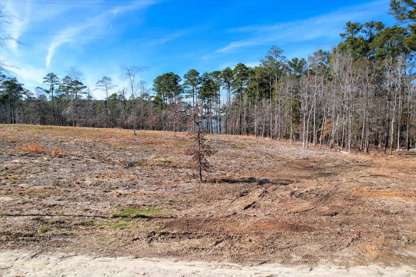 450 Abundance Way Appling, GA 30802 - Photo 2 of 14