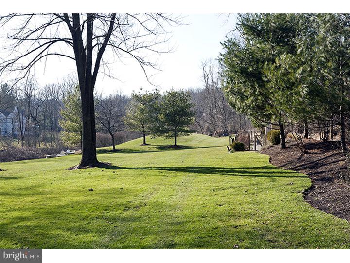 19 Reeder Road New Hope, PA 18938 - Photo 21 of 24 Back Yard