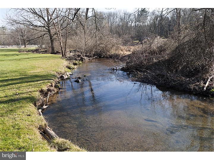 19 Reeder Road New Hope, PA 18938 - Photo 24 of 24 Side Yard