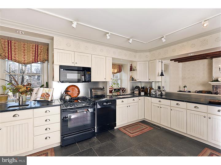 19 Reeder Road New Hope, PA 18938 - Photo 8 of 24 Kitchen