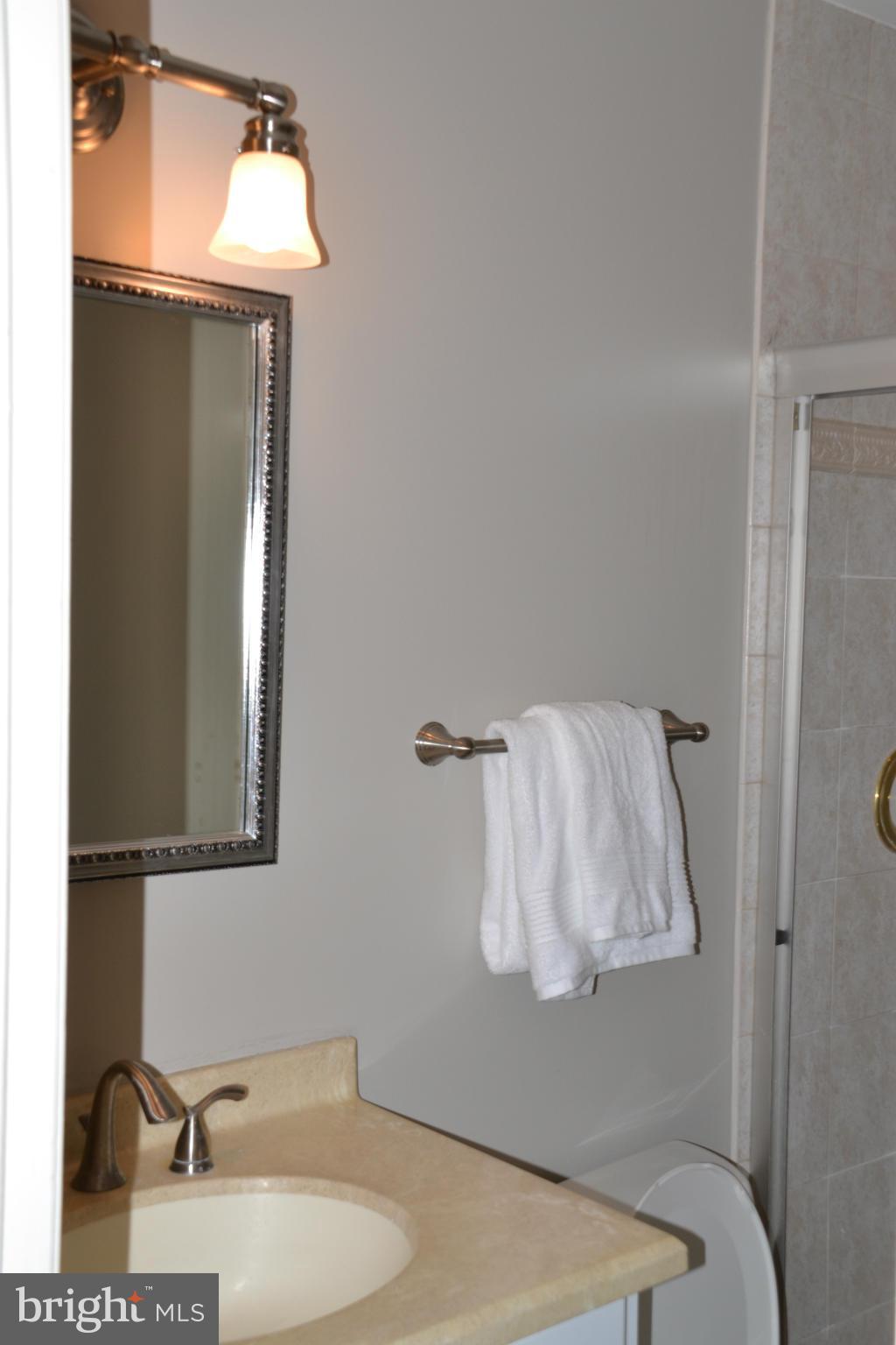 9923 Natick Road Burke, VA 22015 - Photo 13 of 23 Bath (Master)