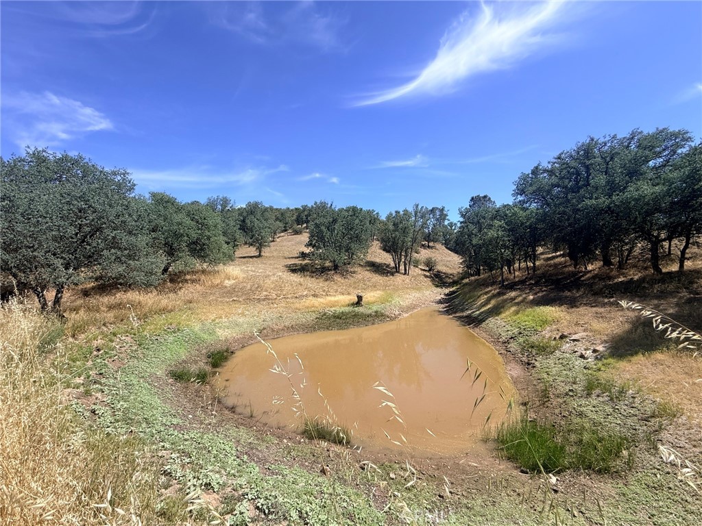 3455 Katacreek Road Creston, CA 93432 - Photo 24 of 30 Private pond, has spillway installed. Could be a very nice amenity if maintained.