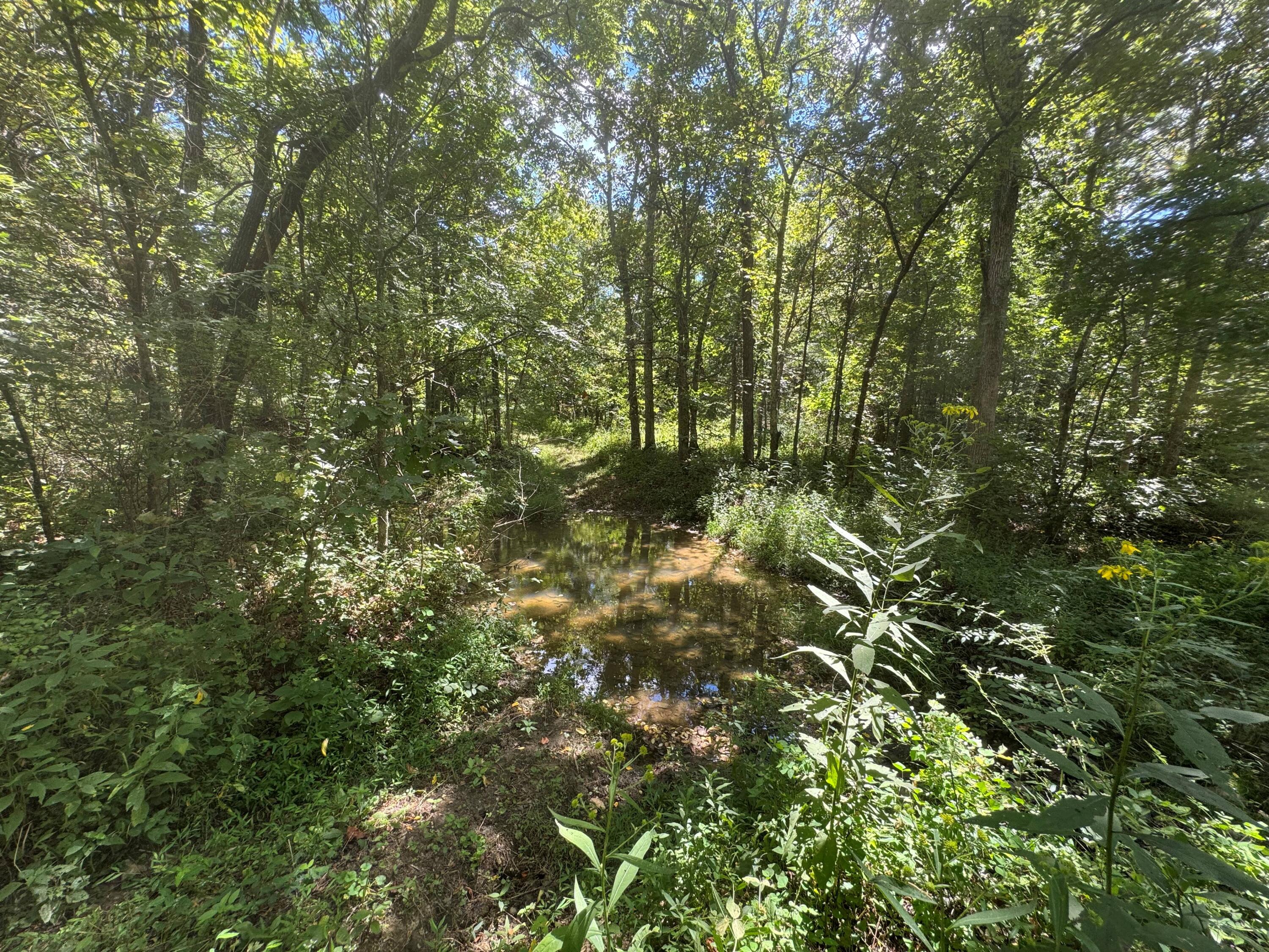 0 Caney Creek Road Owenton, KY 40359 - Photo 34 of 35