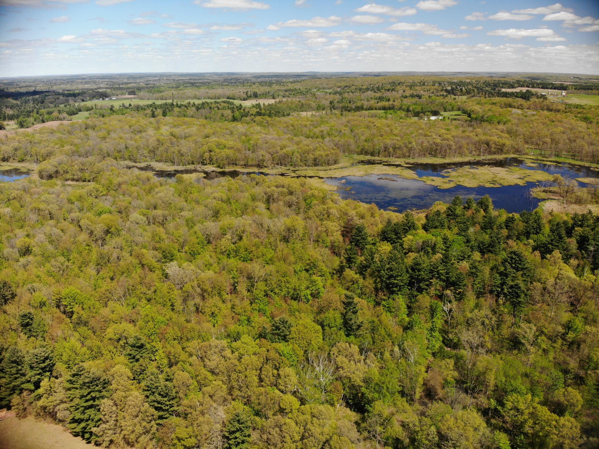 Xxx Xxx Herrick Road Frederic, WI 54837 - Photo 19 of 21