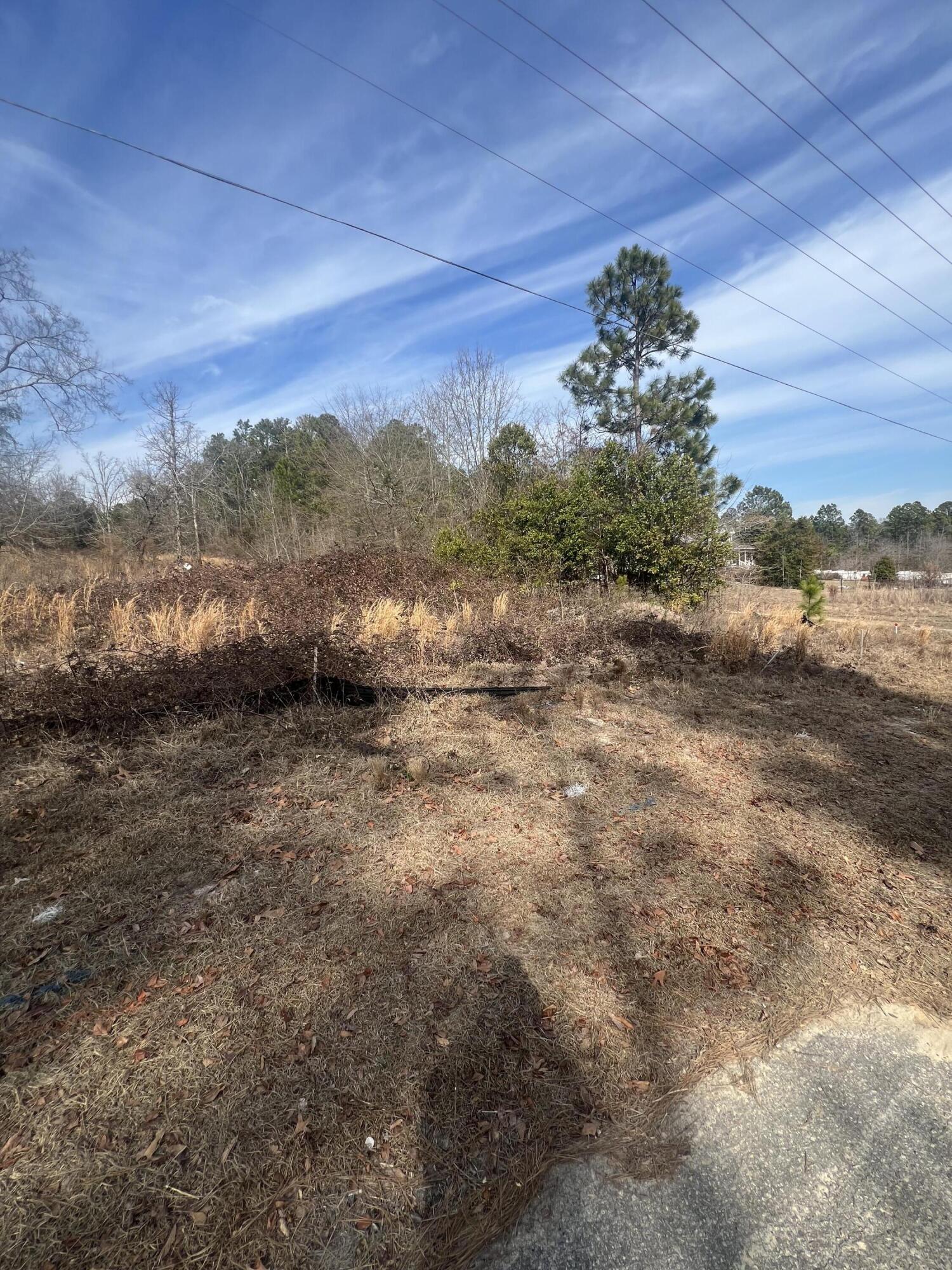 1650 Broad Street Leesville, SC 29070 - Photo 6 of 8