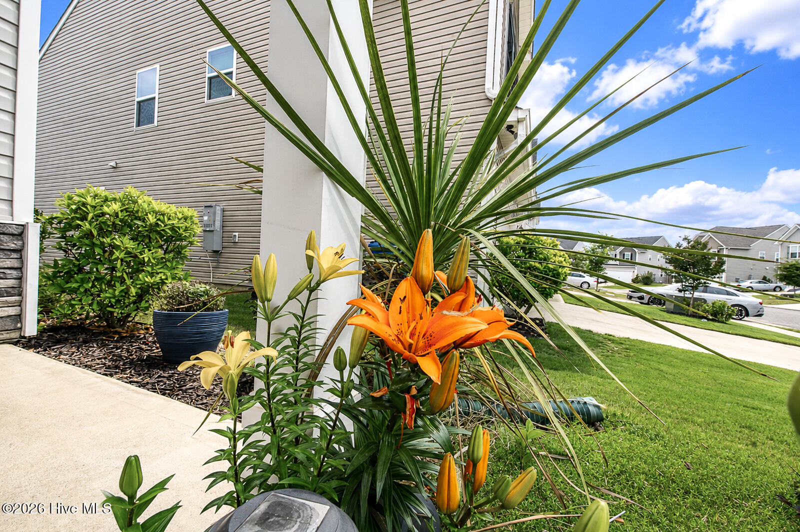 754 Justify Loop Graniteville, SC 29829 - Photo 27 of 39 Flowers!
