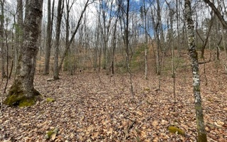 Additional View