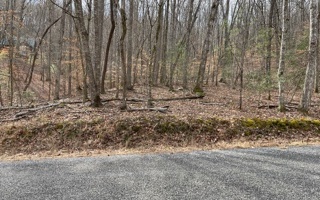 Additional View
