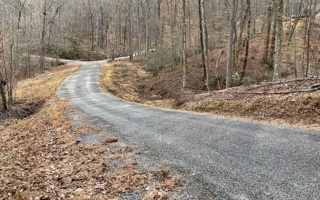 Additional View