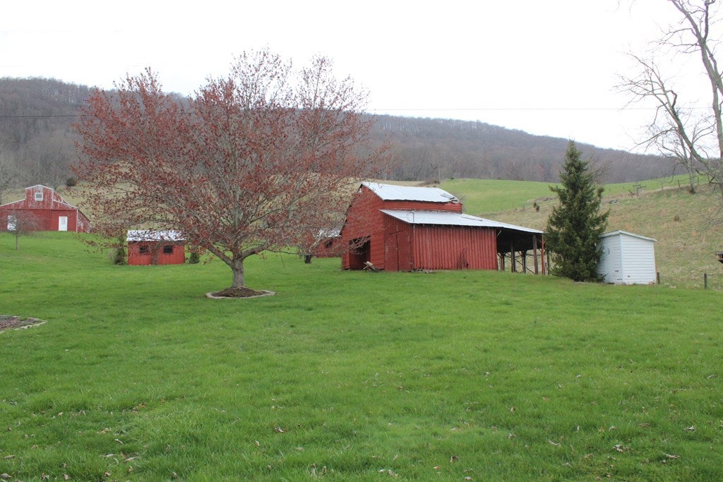 754 Mill Road Tazewell, VA 24651 - Photo 14 of 74 Gallery Image 14