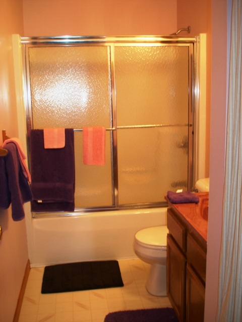 9842 East Pleasant Valley Road Shepherd, MI 48883 - Photo 14 of 38 1833555-16.JPG