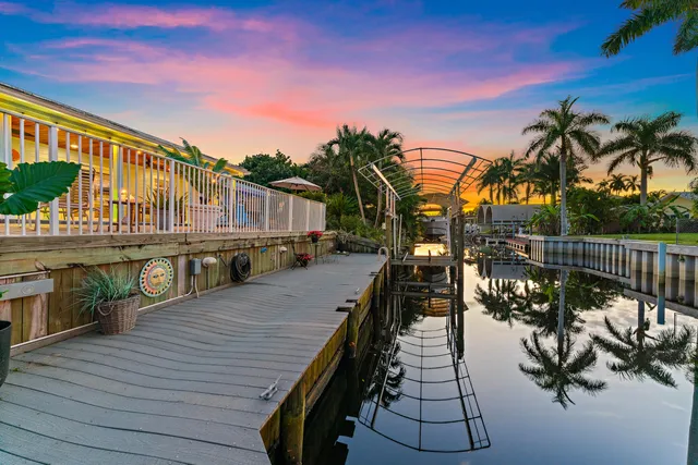 a balcony with wooden floor and a potted plant