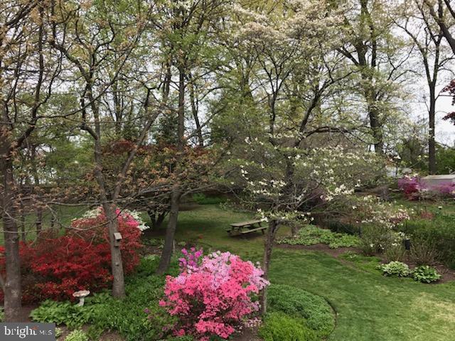 108 Woodland Road Gaithersburg, MD 20877 - Photo 5 of 72 Beautiful Landscape Back Yard in full bloom!!!