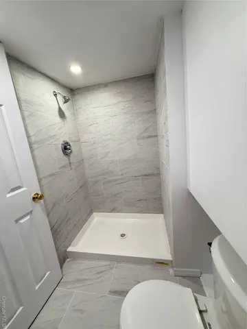 a bathroom with a shower and a toilet