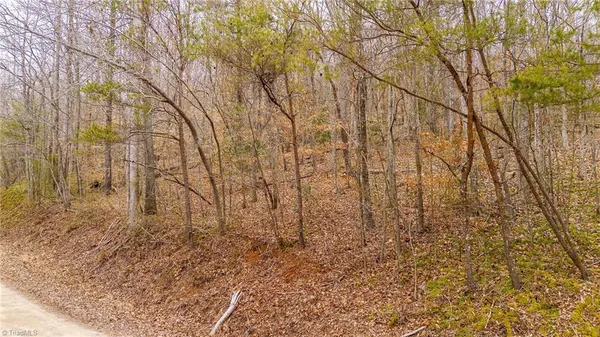 $279,900 | Tbd East Brocktown Road, Moravian Falls, NC 28654