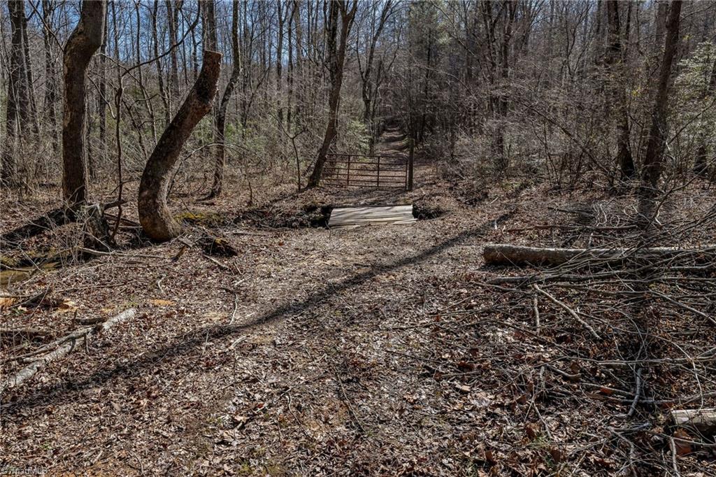 Tbd East Brocktown Road Moravian Falls, NC 28654 - Photo 15 of 21