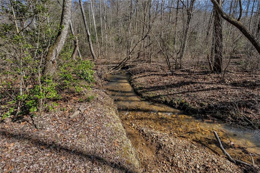 Tbd East Brocktown Road Moravian Falls, NC 28654 - Photo 19 of 21