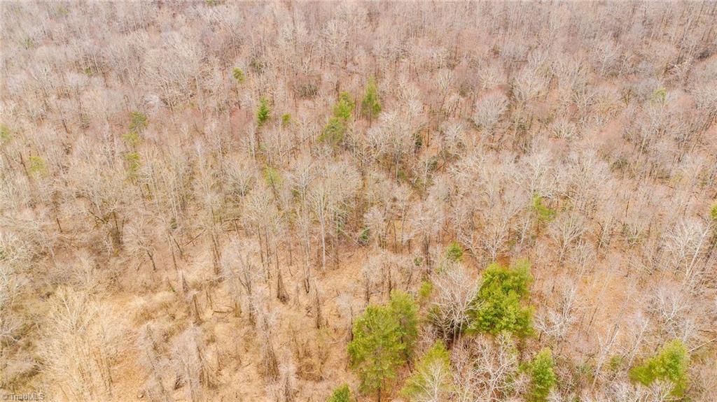 Tbd East Brocktown Road Moravian Falls, NC 28654 - Photo 6 of 21