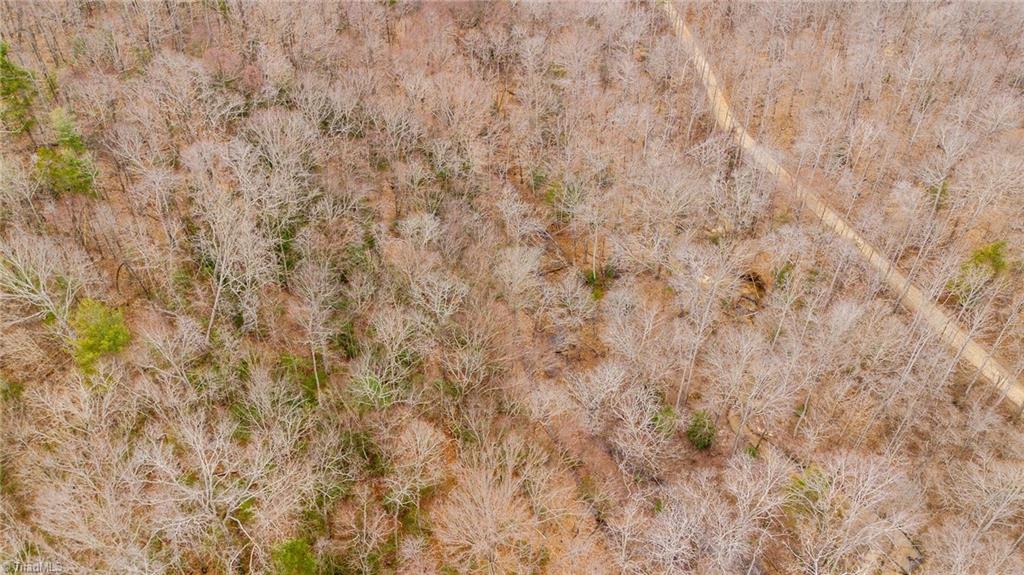 Tbd East Brocktown Road Moravian Falls, NC 28654 - Photo 7 of 21