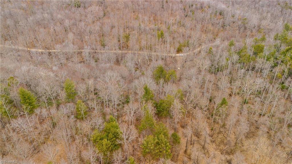 Tbd East Brocktown Road Moravian Falls, NC 28654 - Photo 8 of 21