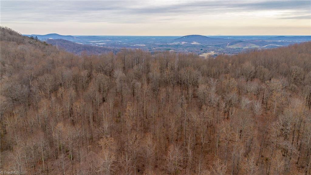 Tbd East Brocktown Road Moravian Falls, NC 28654 - Photo 9 of 21