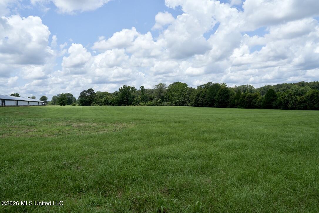 6594 Miller Road Smithdale, MS 39664 - Photo 32 of 45 5DF6D504-901D-4CEE-96B6-9E23AF8F26AD_1_1
