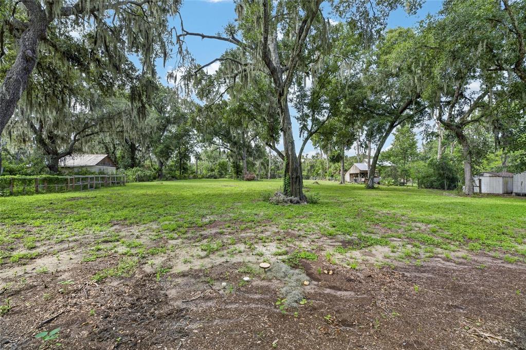 615 Thompson Road Lithia, FL 33547 - Photo 48 of 55