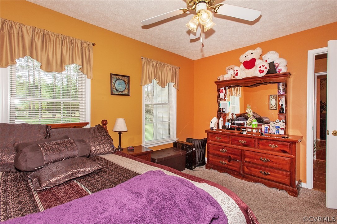 6754 Willow Hill Road Spring Grove, VA 23881 - Photo 36 of 42 Gallery Image 36
