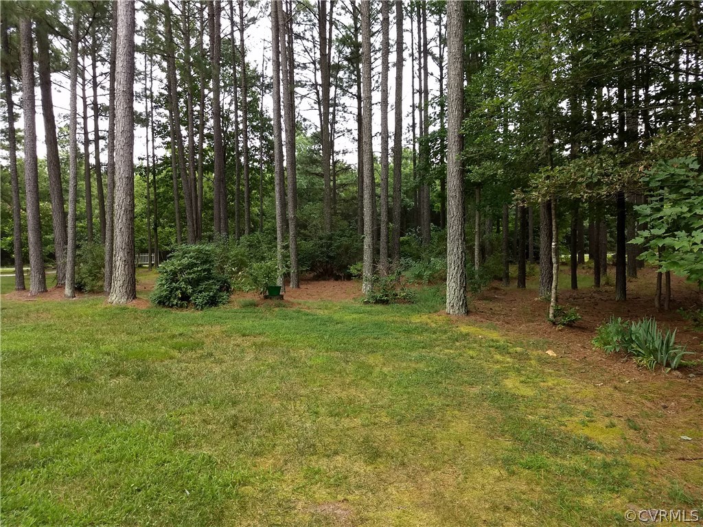6754 Willow Hill Road Spring Grove, VA 23881 - Photo 7 of 42 Gallery Image 7