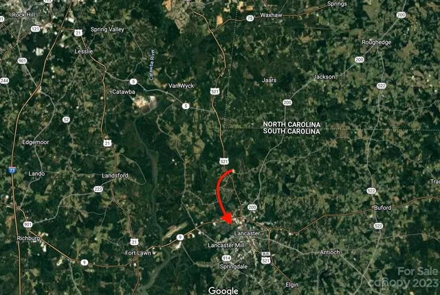 a flag is in the tree