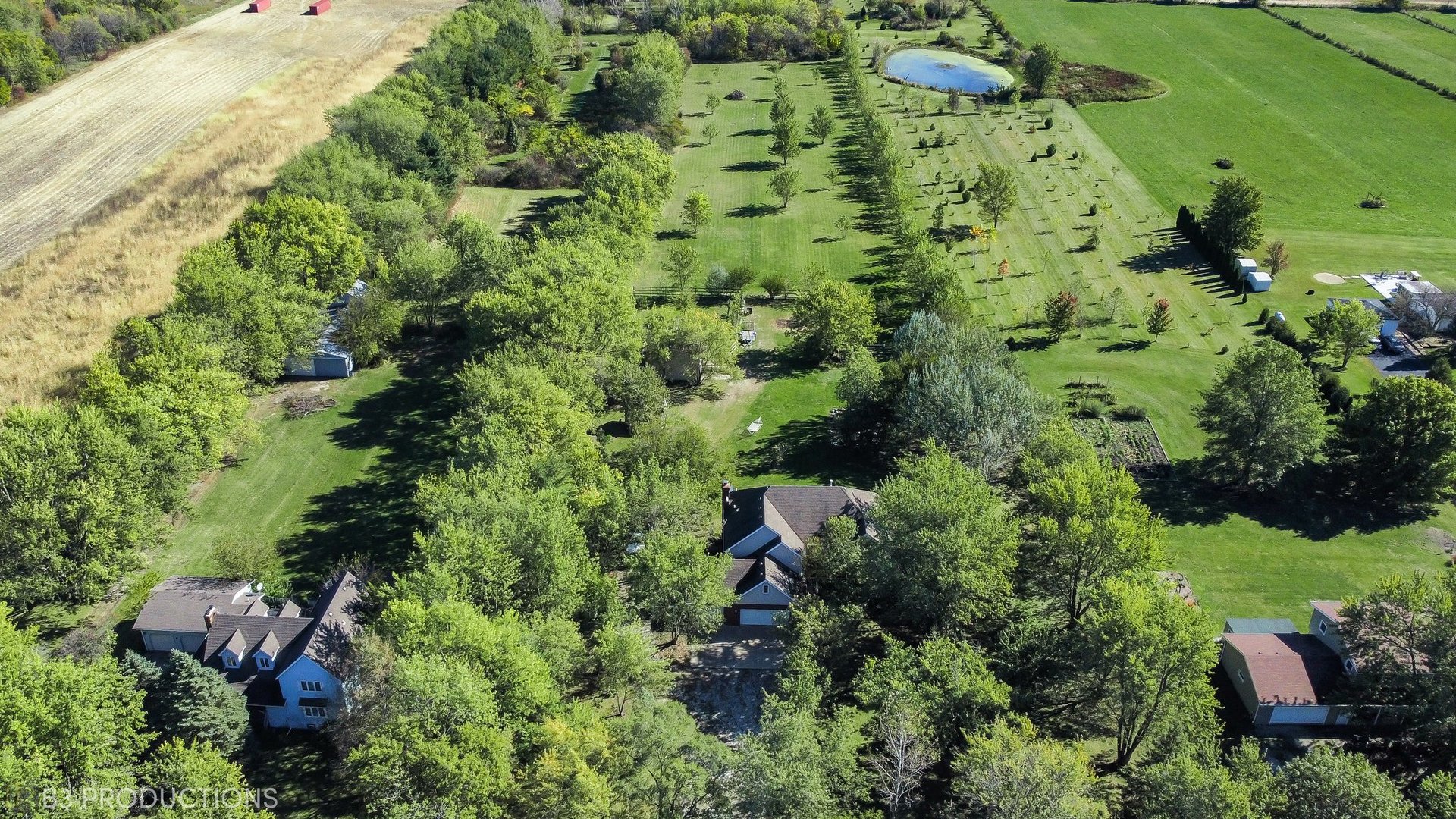 27325 South Kuersten Road Monee, IL 60449 - Photo 26 of 30 an aerial view of residential house with outdoor space and trees all around