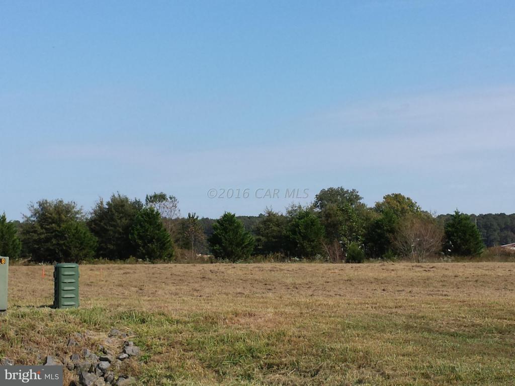 36844 Red Berry Road Delmar, DE 19940 - Photo 2 of 5