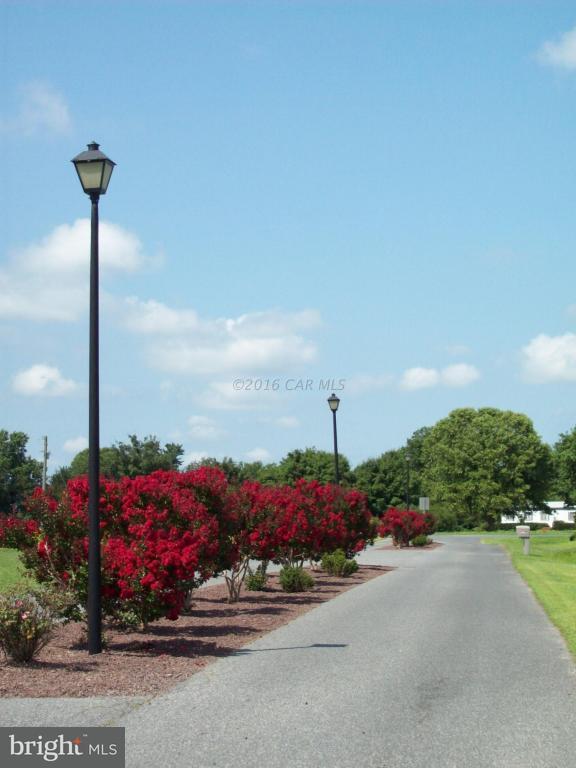 36844 Red Berry Road Delmar, DE 19940 - Photo 4 of 5