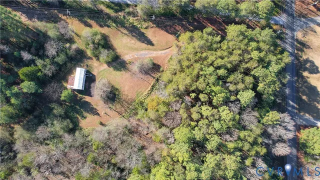 a view of a tree in a yard