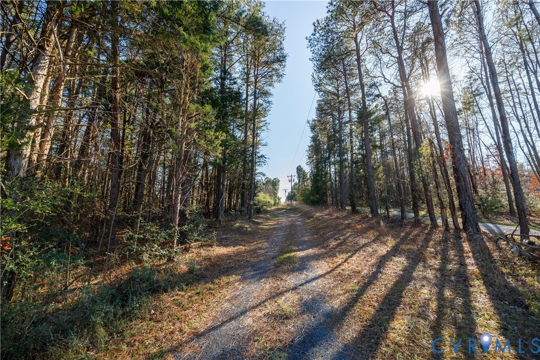 18395 Dogwood Trail Road Rockville, VA 23146 - Photo 9 of 14
