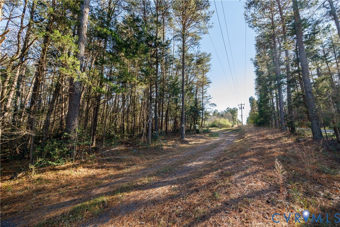 18395 Dogwood Trail Road Rockville, VA 23146 - Photo 10 of 14