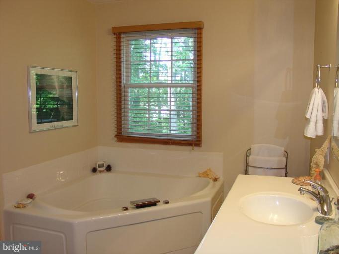 21 Range Road North East, MD 21901 - Photo 20 of 30 Master Bath