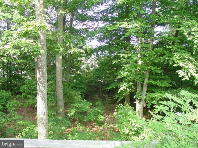 21 Range Road North East, MD 21901 - Photo 4 of 30 Deck - View from