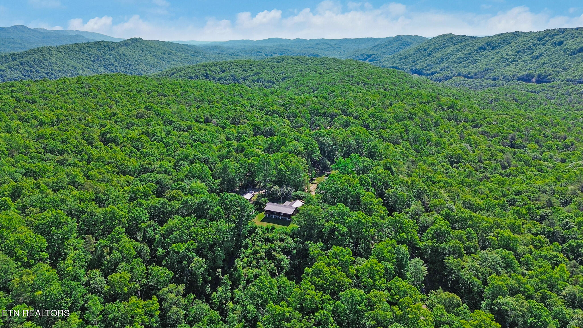 133 Hickory Flats Road Harriman, TN 37748 - Photo 41 of 57 Aerial View 4