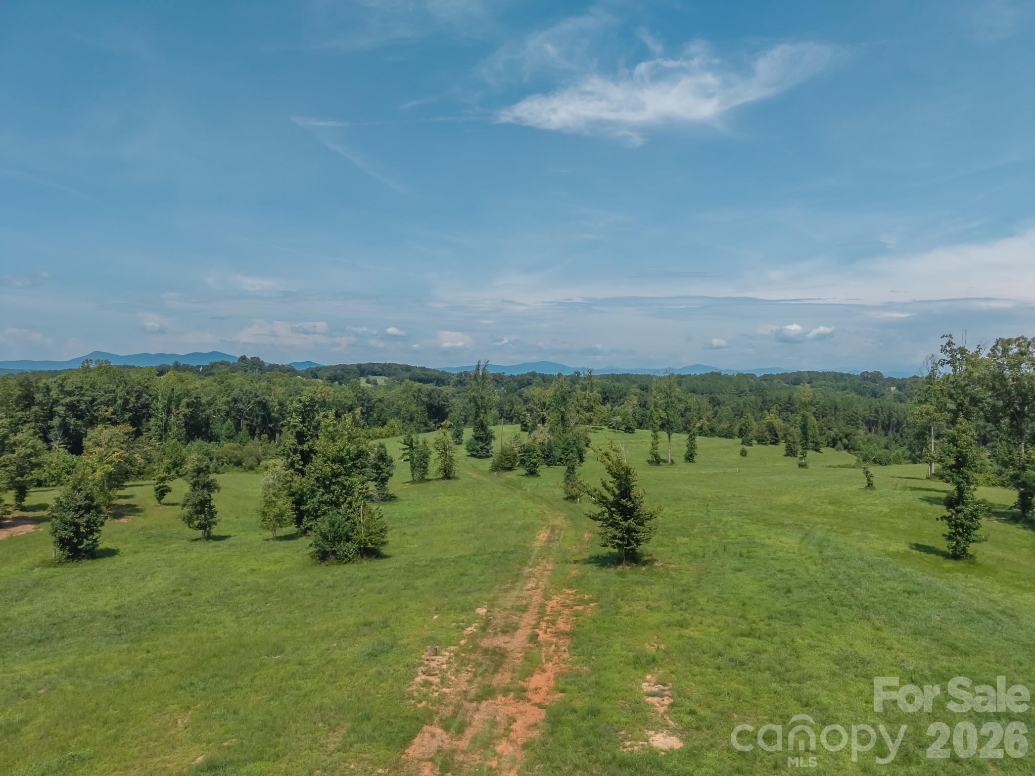 473 McEntire Road Tryon, NC 28782 - Photo 14 of 22 Gallery Image 14