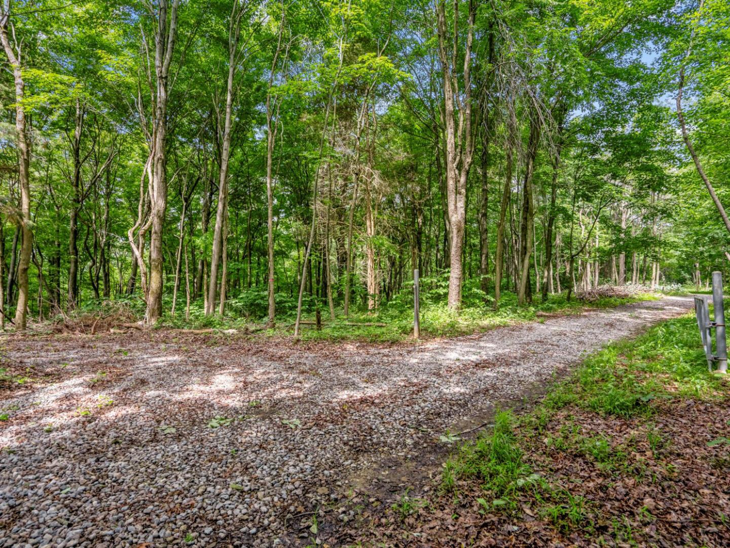 0 Potts Hill Road Bainbridge, OH 45612 - Photo 6 of 34 0 5