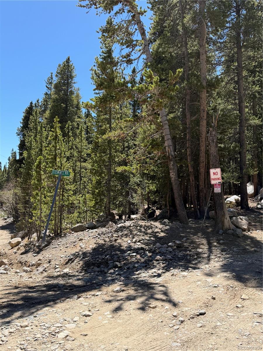 Lot 378 Alice Road Idaho Springs, CO 80452 - Photo 5 of 26 a view of a park with trees