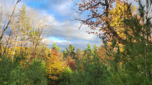 $115,000 | 0 Route 302 Newbury Vt 05051, Wells River, VT 05081
