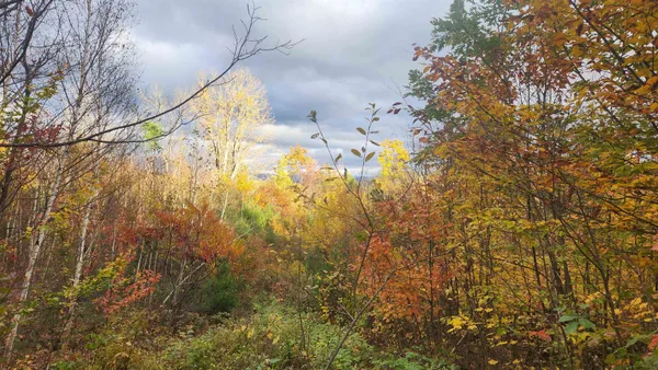 $115,000 | 0 Route 302 Newbury Vt 05051, Wells River, VT 05081